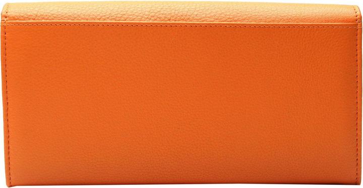 Actual product image Esquire Peru Ladies Purse