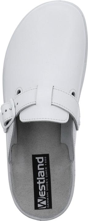 Actual product image Westland 31303-95 (40)