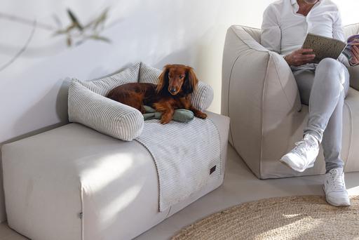 Actual product image Designed by Lotte Ribbed (Dog)