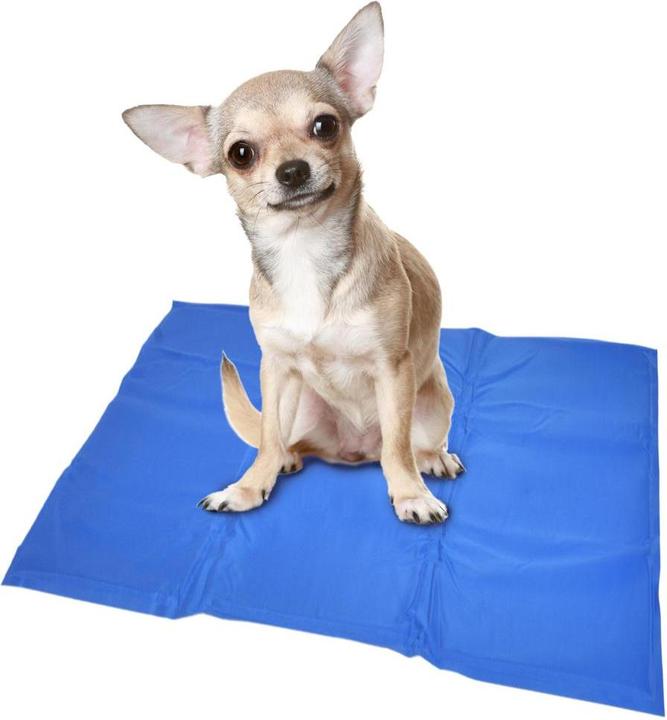 EBI Koelmat M (Hond)