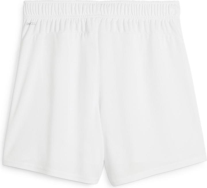 Actual product image Puma teamGOAL Shorts Wmns (XL)