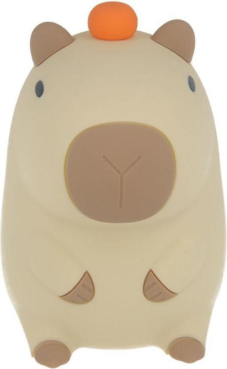 Forever Light LED night lamp