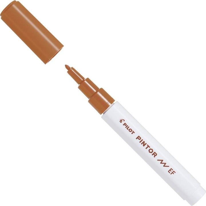 Image du produit Pilot Pintor Extra Fine