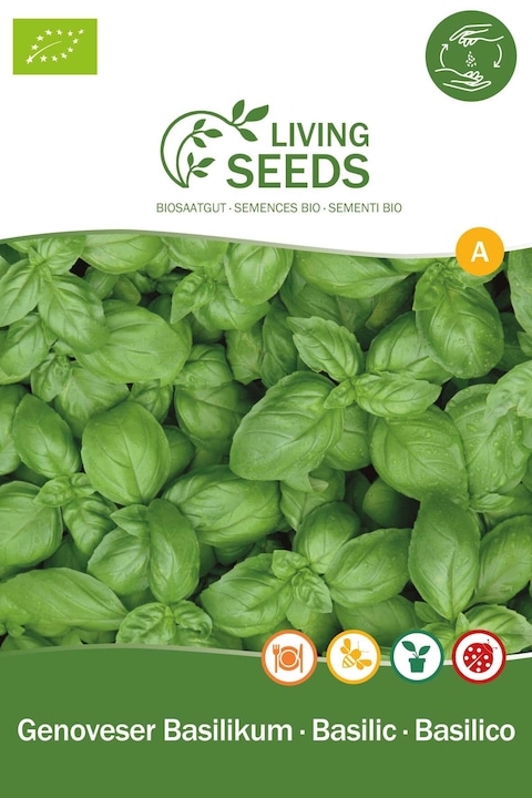 Immagine prodotto Living Seeds Basilico Genovese (Germogli)
