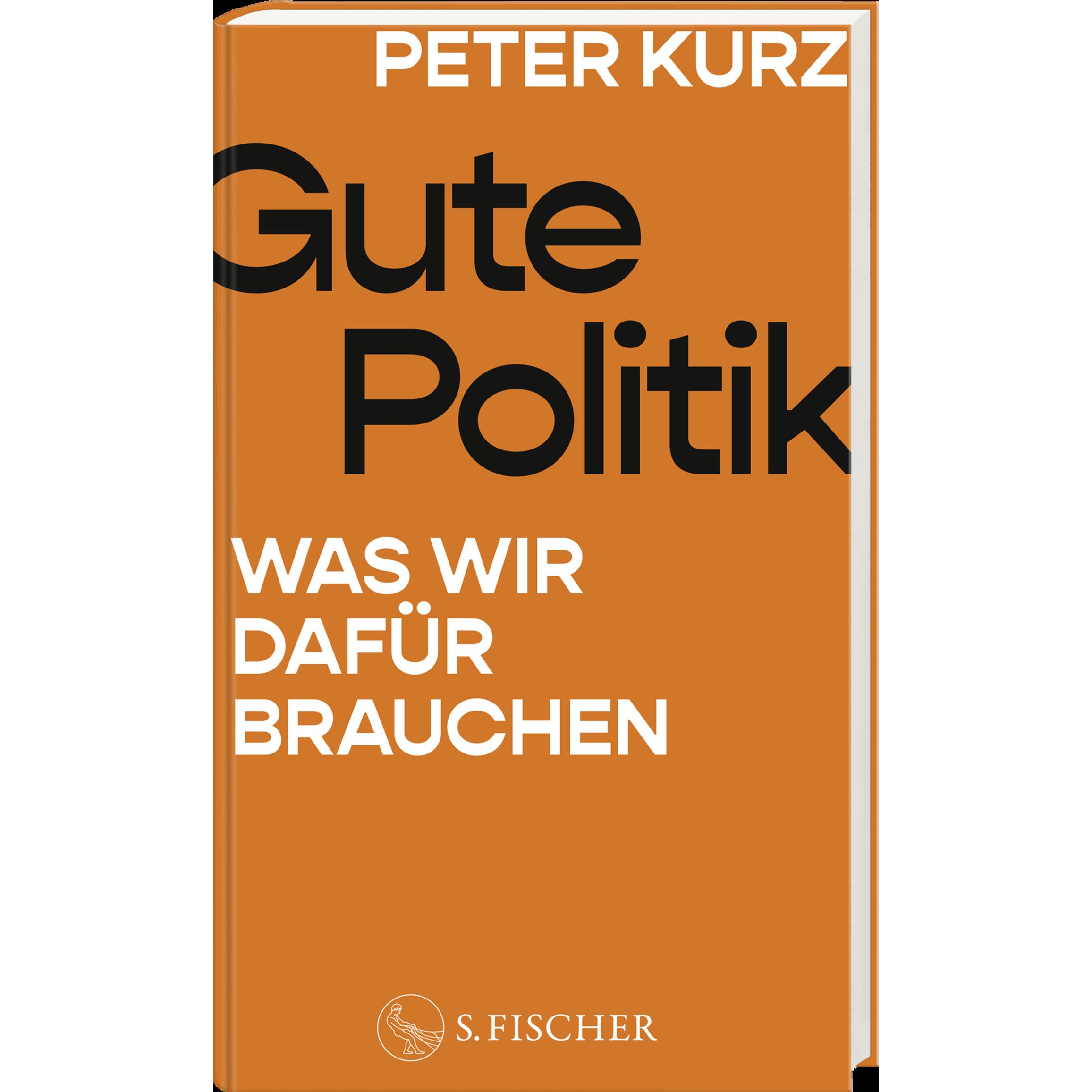 Gute Politik, Fachbücher von Peter Kurz