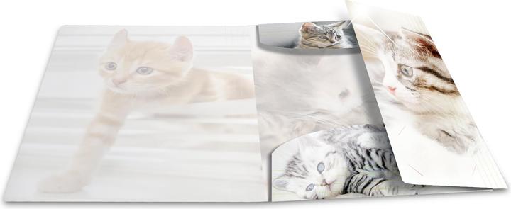 Immagine prodotto HERMA Cartella a motivi A4 (A4, 1 x)