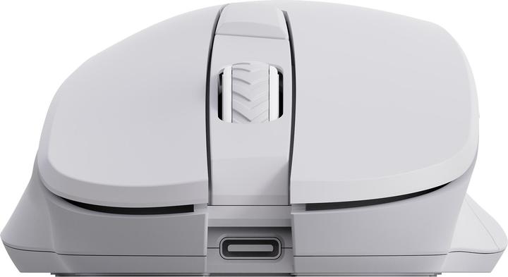 Produktbild Sbox Computer mouse WM-308 White (Kabelgebunden)