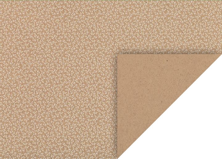 Image du produit Heyda carton naturel, 50 x 70 cm, "gui or (220 g/m², 1 x)