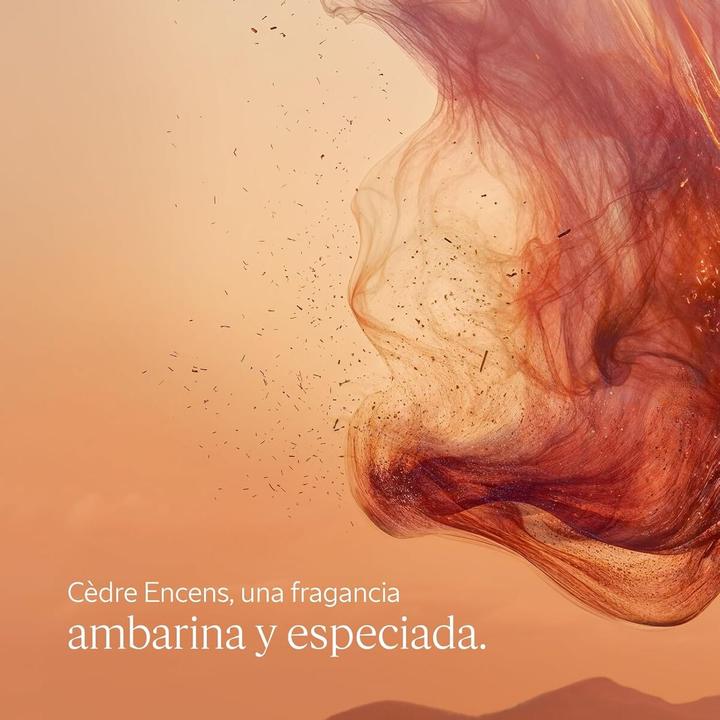 Immagine prodotto L'Occitane Eau des Baux (250 ml)