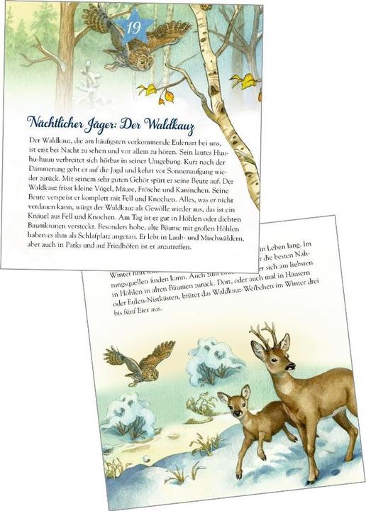 Actual product image Slip calendar