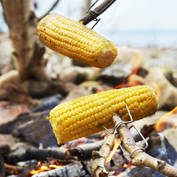 Image du produit Light my Fire Kit d'allumage du feu Bio