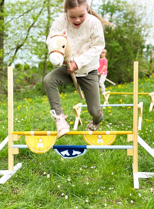 Actual product image small foot Obstacle set