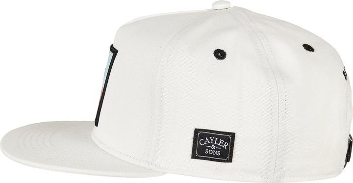 Image du produit Cayler & Sons Casquette Art Is Life - 19807 (Taille unique)