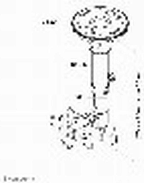 Immagine prodotto Neomounts NewStar - FPMA-C025 SILVER - Supporto a soffitto (Soffitto, 30", 12 kg)