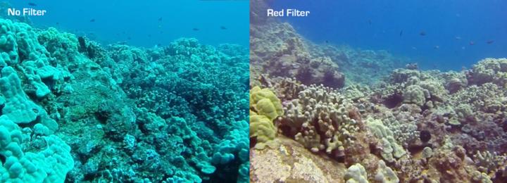 Actual product image PRO-mounts Scuba Red & Snorkel Filter