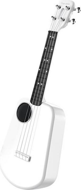 Actual product image Populele Plus (Electrical)