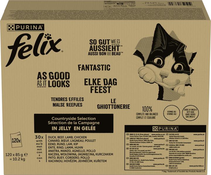 Felix Aussi bon qu'il y paraît (Adulte, 10200 g)