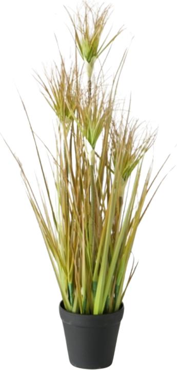 Image du produit Boltze Home Boltze Plante en pot Herbe à bulbe 98 cm