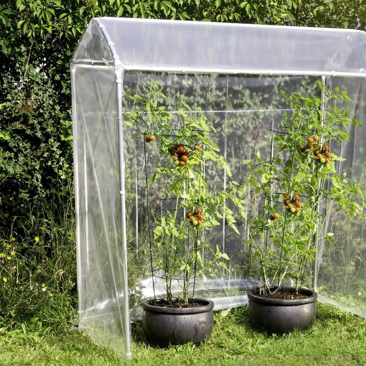 Produktbild Windhager Eratzfolie zu Tomatengewächshaus