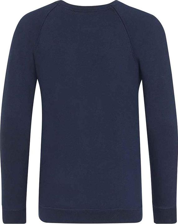 Actual product image Awdis Academy School Sweatshirt Round Neck (152)