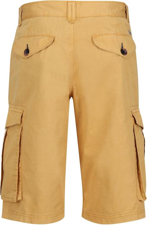 Image du produit Regatta - Short cargo SHOREBAY - Homme (Bande de fréquences 38 (2600 MHz))