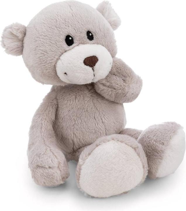 NICI Kuscheltier Bär Finni in Geschenkbox (20 cm)