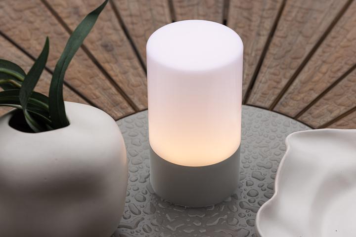 Actual product image Venture Home Tubu (300 lm)