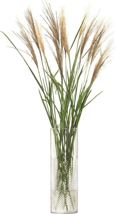 Actual product image LSA Wicker vase H40cm Clear (1x)