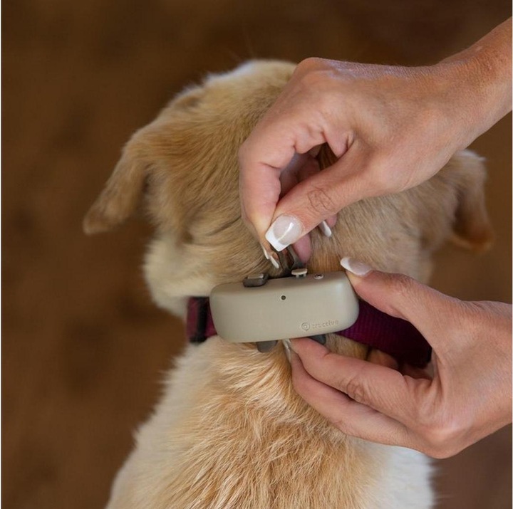 Produktbild Tractive Dog 4 GPS Tracker für Hunde (Hund, Allgemein)