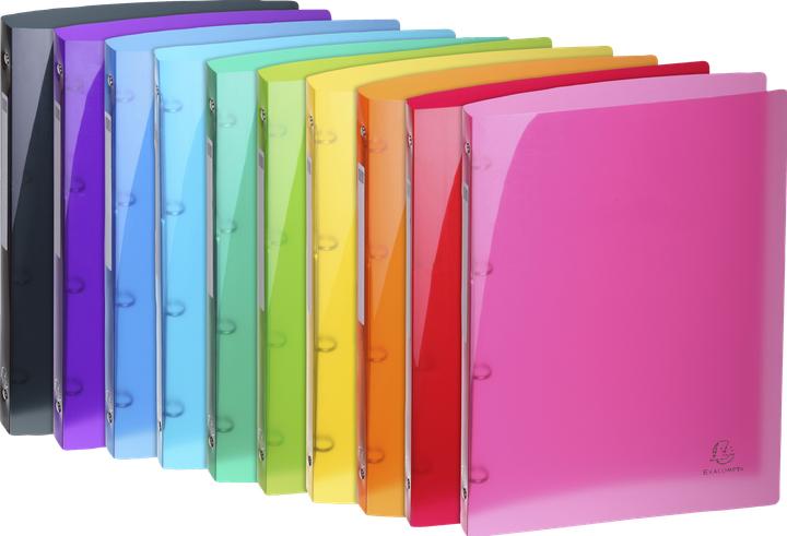 Actual product image Exacompta Folder (A4, 20 mm)