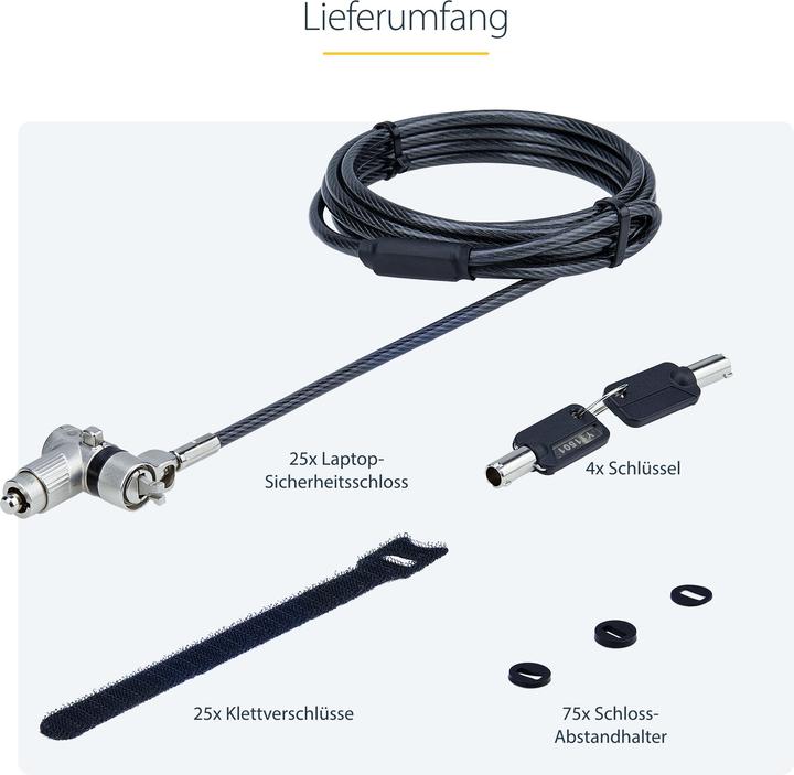 Productafbeelding StarTech com 25-pak Universele laptopsloten 6,6ft, gelijksluitende kabel met sleutel, veiligheidskabel