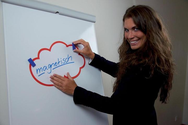 Produktbild Franken Magnet eckig (10x)