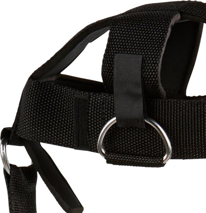 Actual product image Schiek Head Harness Model 1500 (One size)