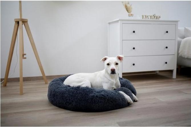 Immagine prodotto Kerbl Fluffy (Cane)