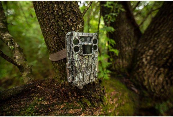 Produktbild Bushnell Core DS No Glow
