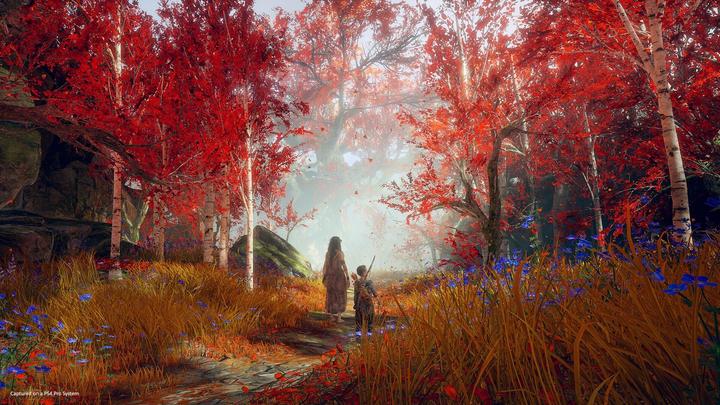 Produktbild Sony God of War Standard PlayStation 4 (PS4)