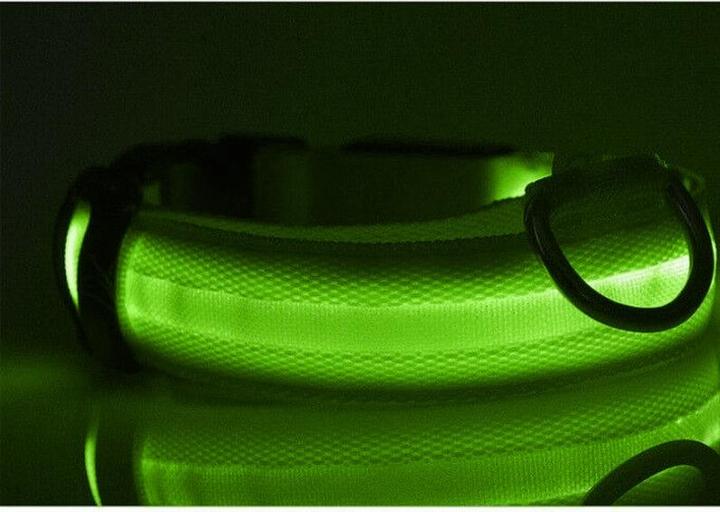 Image du produit Cbx Collier de chien à LED rechargeable taille M - 40-46cm (M, Chien)