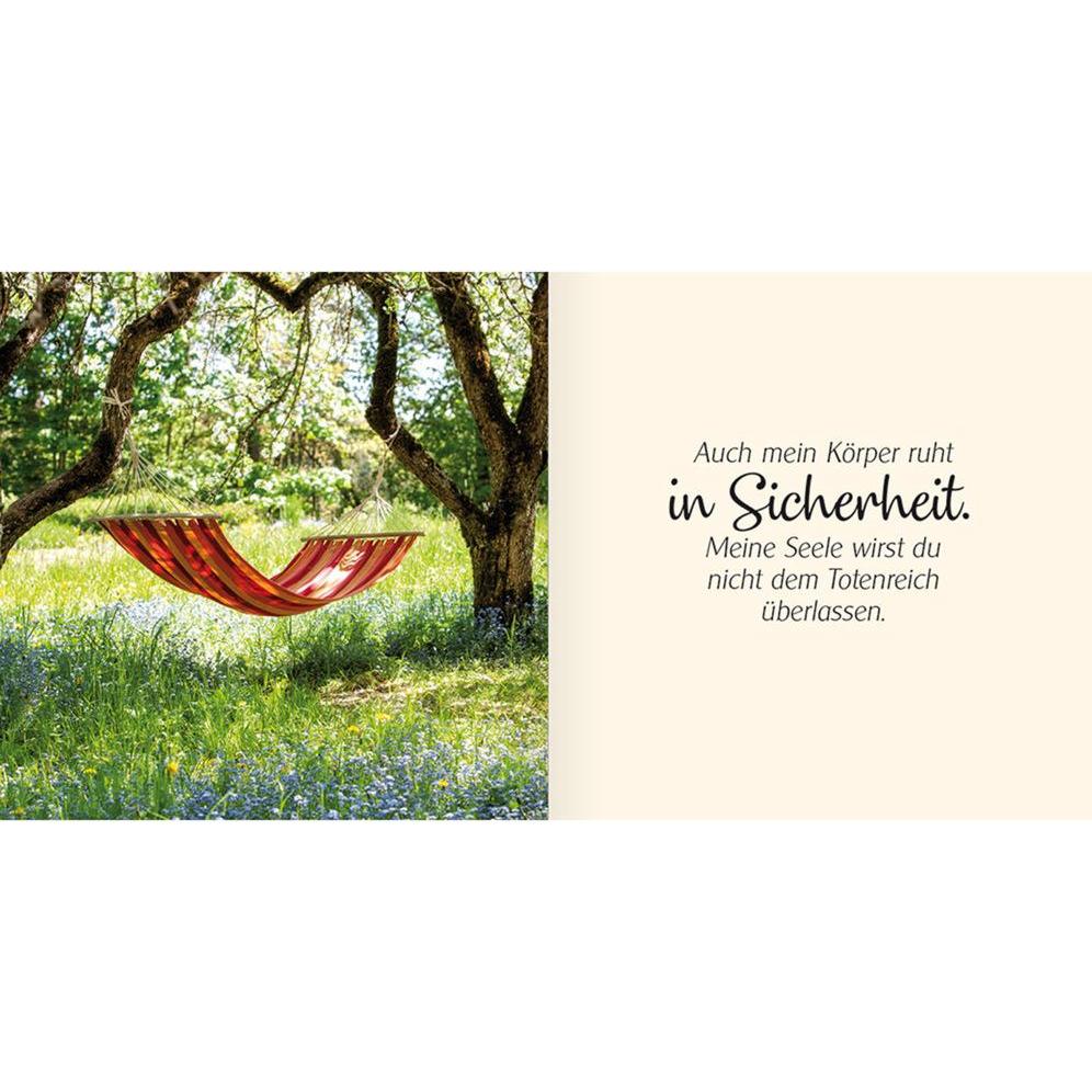 Thumbnail - Ich schenke dir Psalm 16, Sachbücher