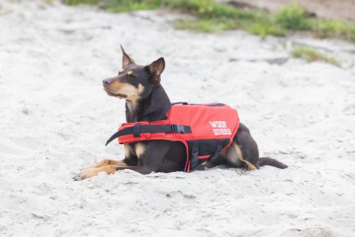 Produktbild Beeztees Sicherheits-Schwimmweste (36, Hundeschwimmweste)