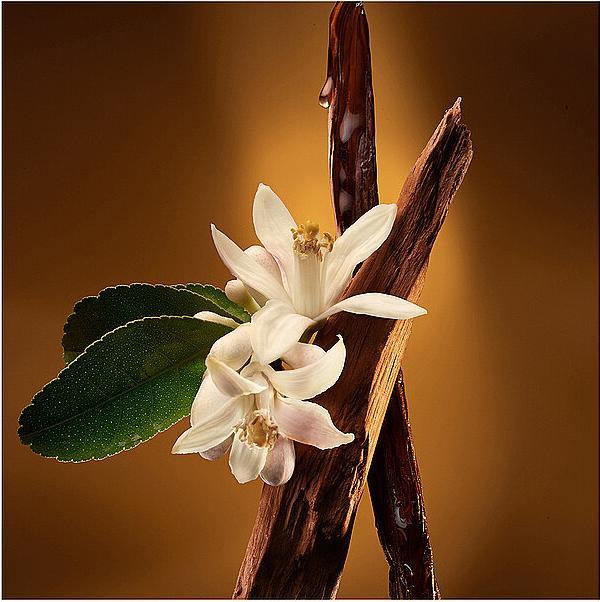 Produktbild Zadig & Voltaire Zadig Eau de Parfum Intense (Eau de Parfum, 90 ml)