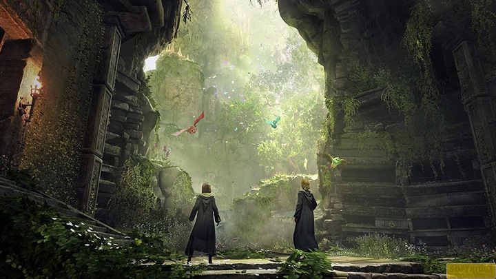 Produktbild WB Hogwarts Legacy (PS4, DE)