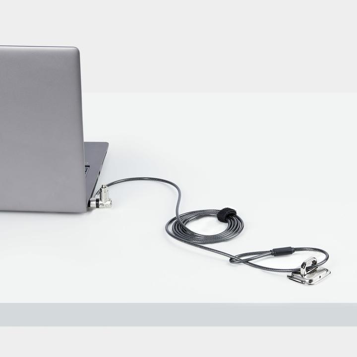 Productafbeelding StarTech COM 25-Pack Universele Laptopsloten 2m Hoofdsleutel Veiligheidsslot Noble Wedge/Nano/K-Slo