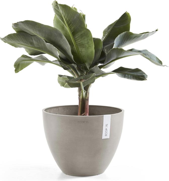 Produktbild Ecopots Antwerp (30.20 x 25 cm)