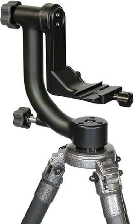 Actual product image Wimberley WH 200 Head Version II