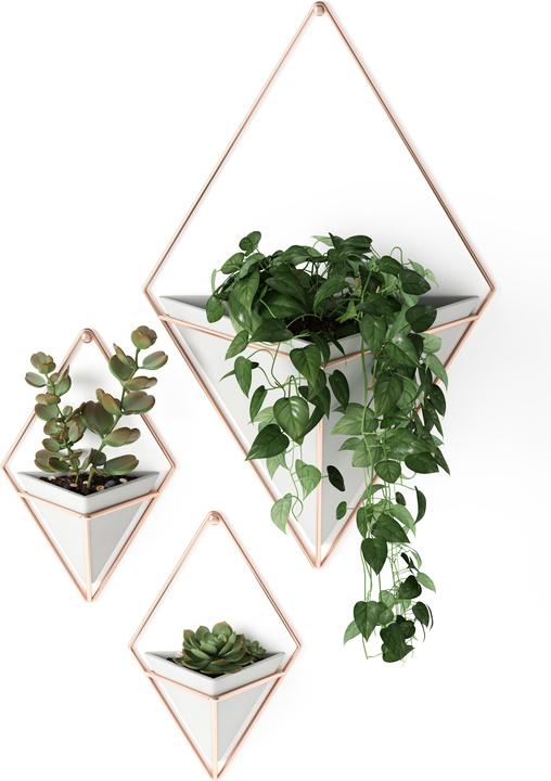 Produktbild Umbra Trigg (11.40 cm)
