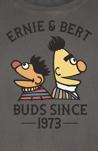Produktbild Ernie und Bert - Bros Since 1973 (M)
