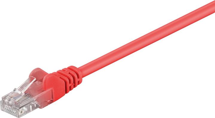 Rot