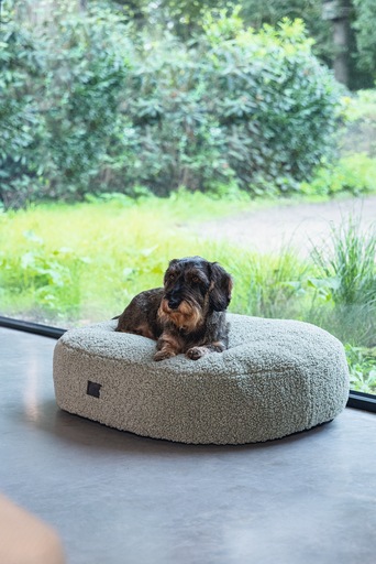 Productafbeelding Designed by Lotte Geribbeld (Hond)