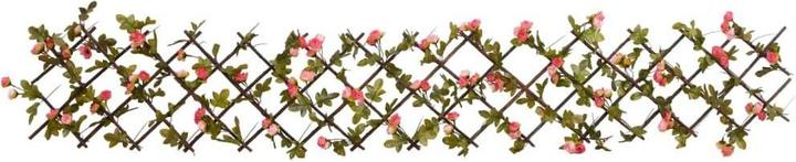 Produktbild vidaXL Odysseus (20 cm)