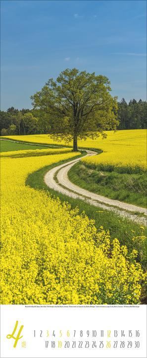 Produktbild Zauberhafte Wege 2026 (28.5 x 69 cm, Harter Einband, Deutsch)